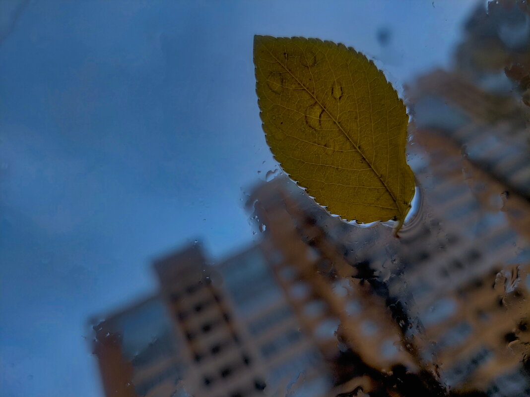 письмо от осени прилетело - Артём 