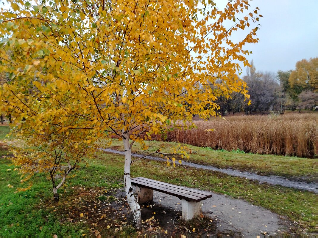 Самара. Парк Воронежские озера - Надежда 