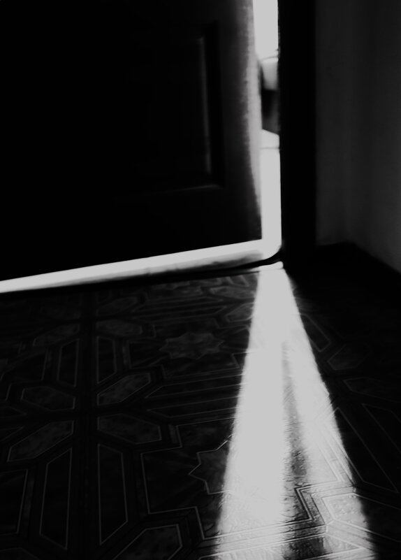 * - Василий Палий