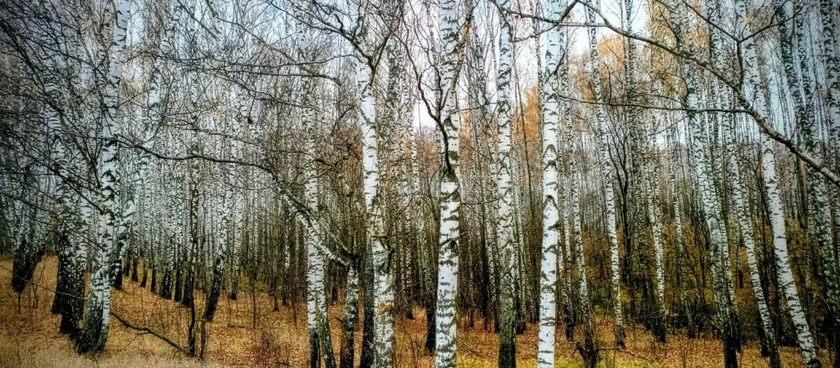 Октябрь - Михаил Столяров