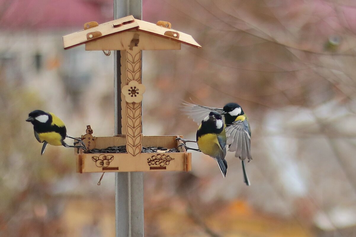 Обнимашки. - Татьяна Бравая Обнимашки. - Татьяна Бравая