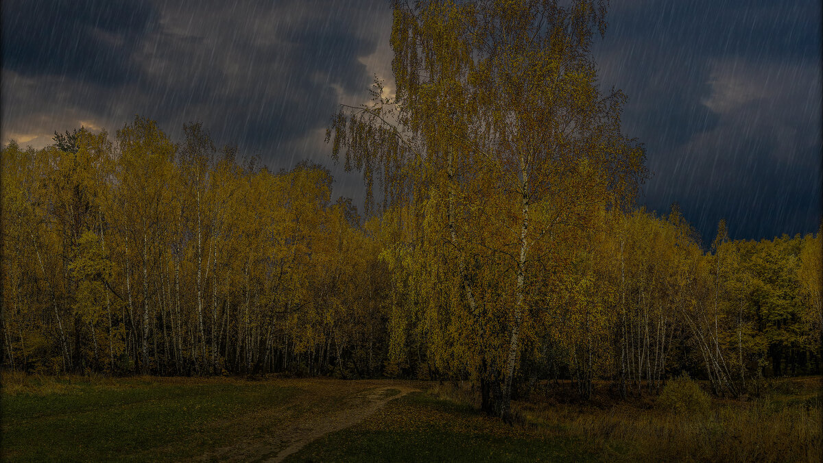 Осень - Aleksey Afonin