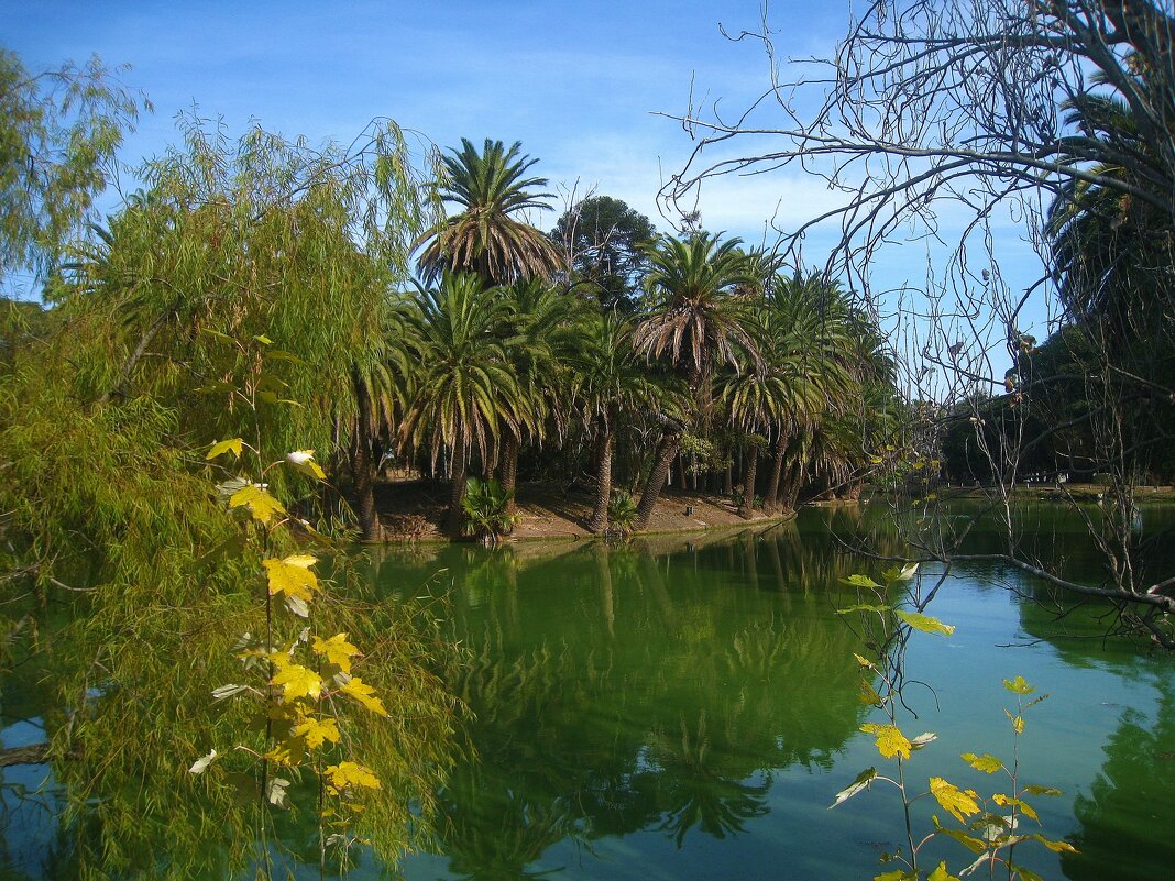 В парке Родо, в Монтевидео, столице Уругвая. - unix (Илья Утропов)