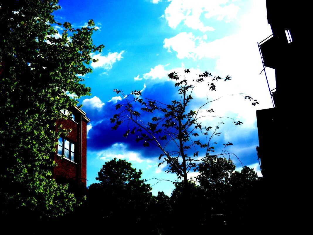 Осень 31 - Алексей Кузнецов