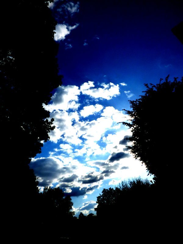 Осень 34 - Алексей Кузнецов