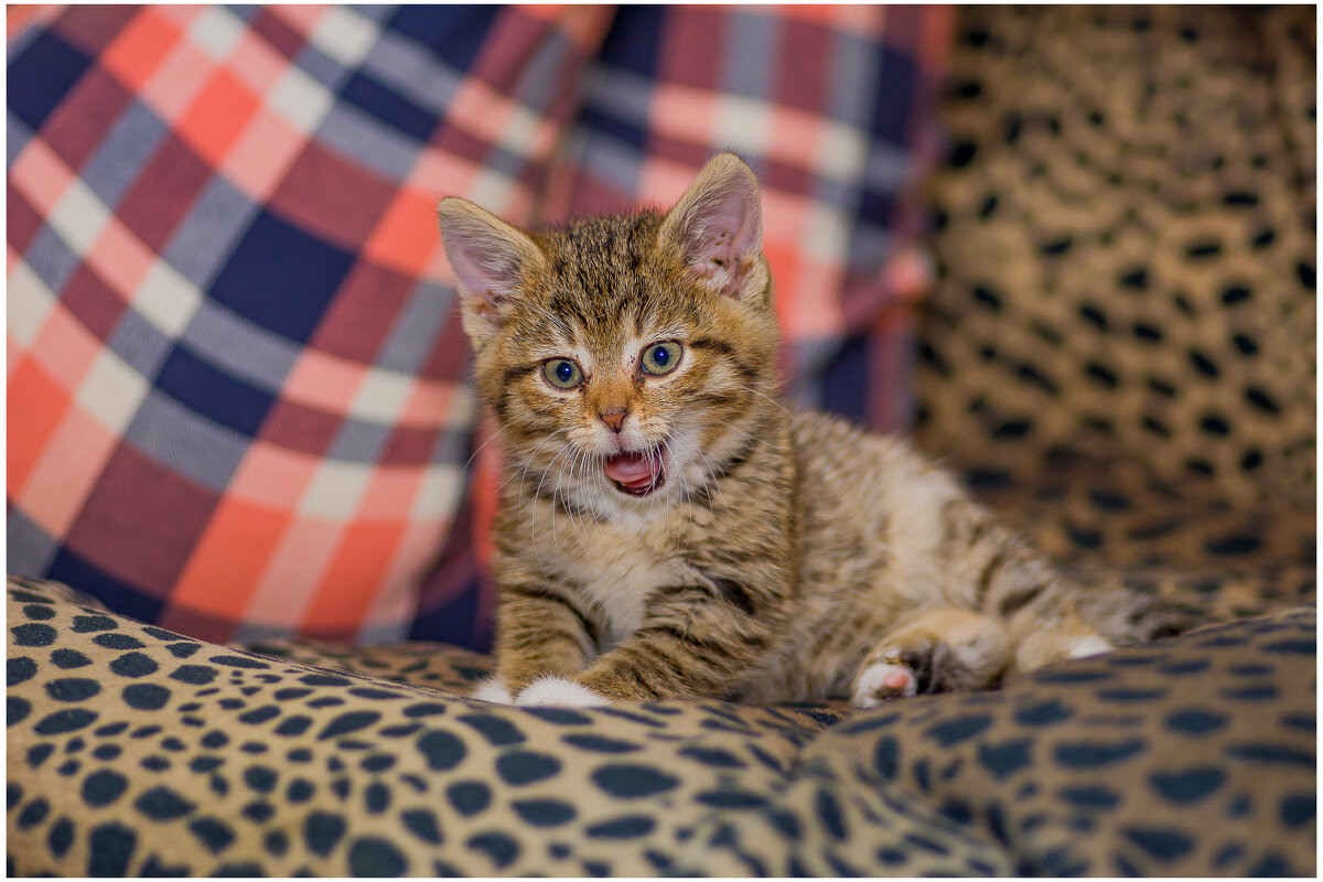 ..... - Sergey (Apg) ..... - Sergey (Apg)