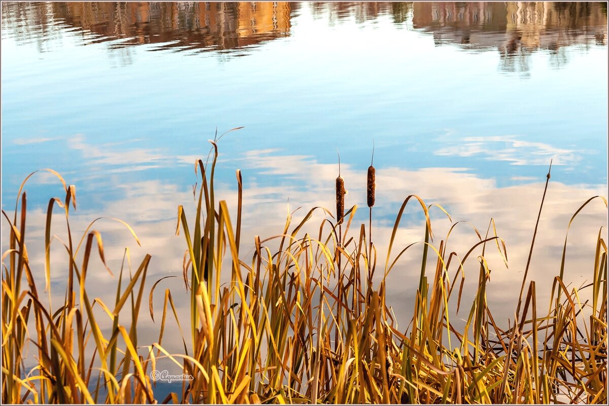 Поздняя осень ... - Aquarius - Сергей