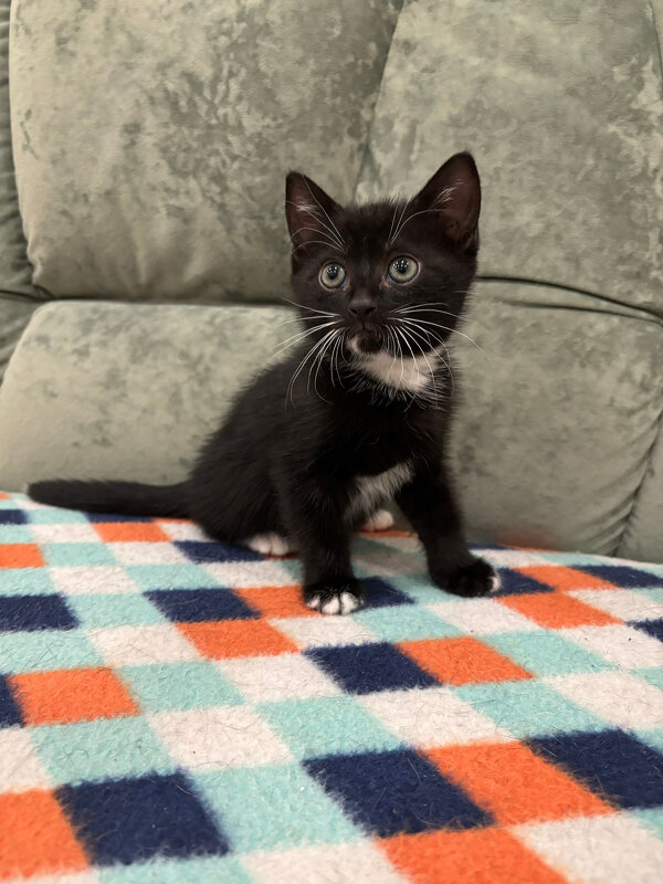 K - Андрей Л. В. K - Андрей Л. В.