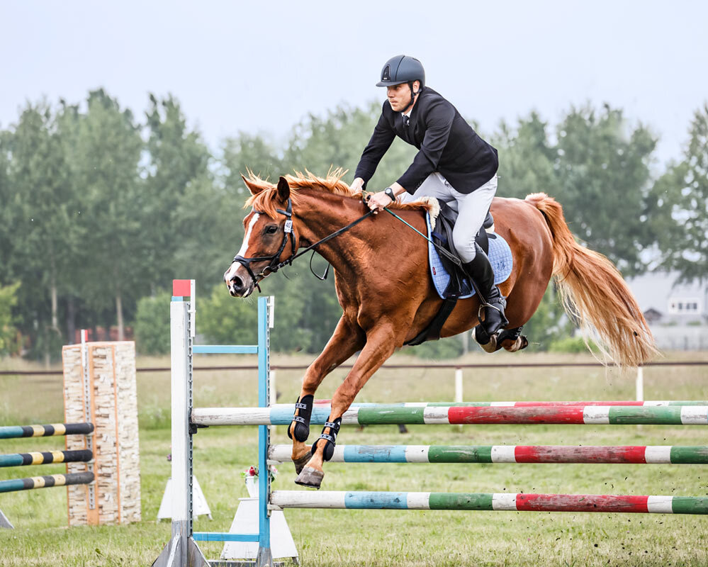 Конкур - SanSan 