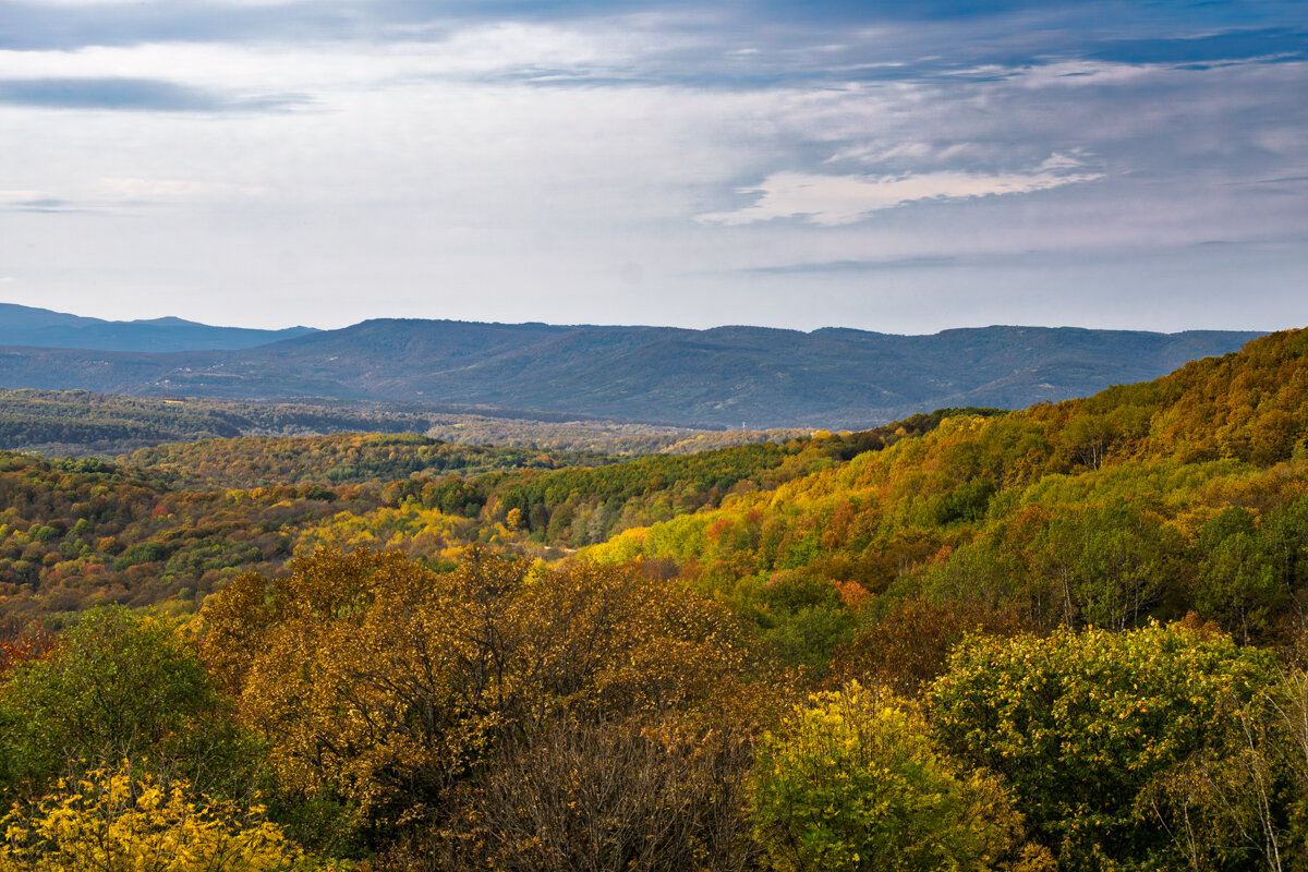 Осень в Адыгее - Игорь Сикорский