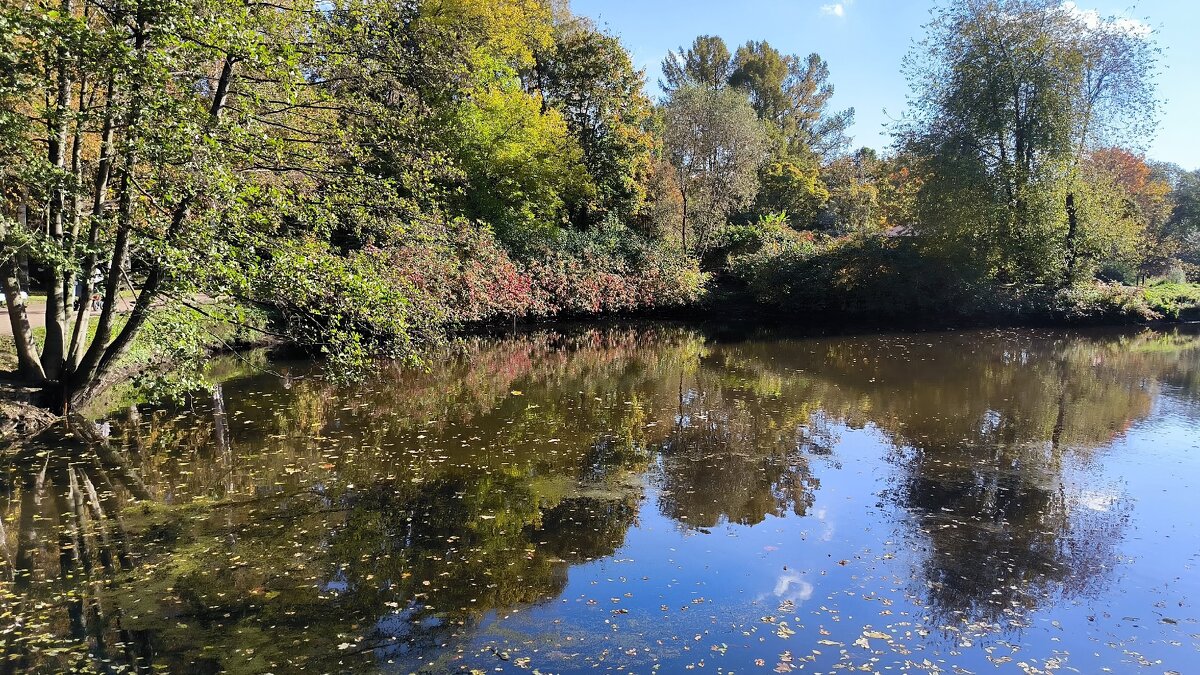 Осеннее. - Ольга Осеннее. - Ольга