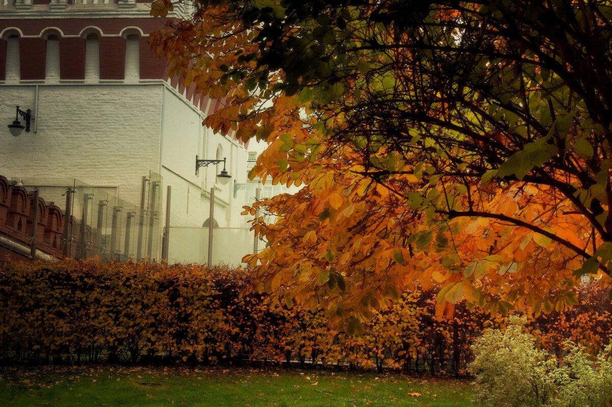 Листопад продолжается, деревья оголяются. - Татьяна Помогалова Листопад продолжается, деревья оголяются. - Татьяна Помогалова