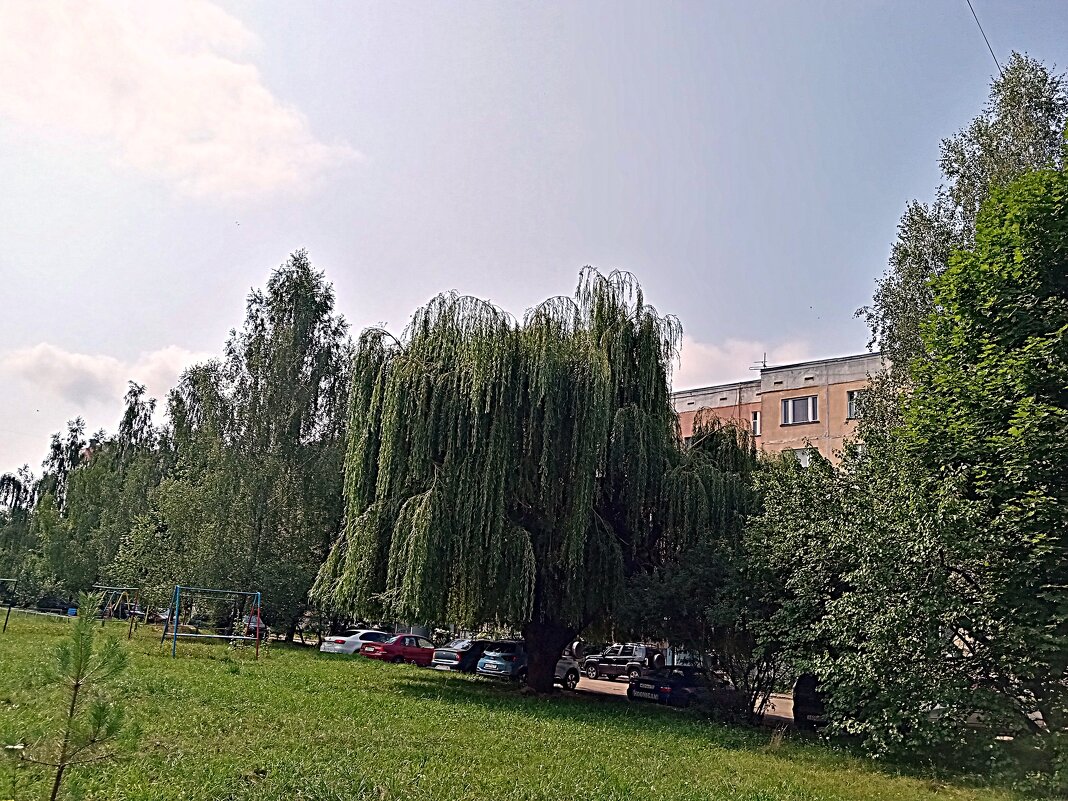 Мценск летом. - Владимир Драгунский Мценск летом. - Владимир Драгунский