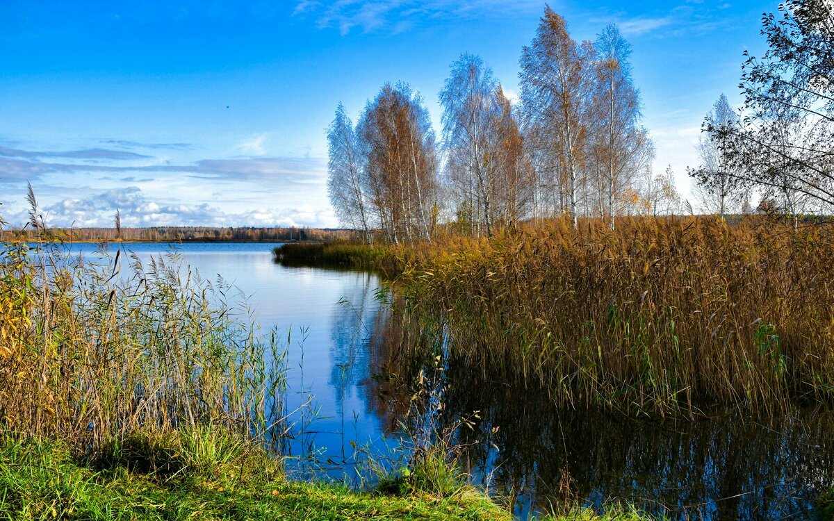 О минувшем октябре. - Милешкин Владимир Алексеевич О минувшем октябре. - Милешкин Владимир Алексеевич