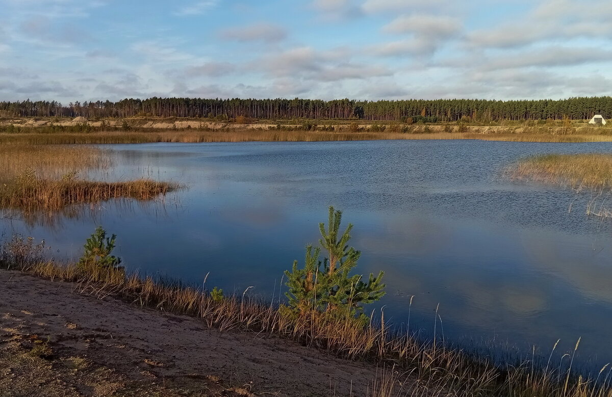 Осеннее :) - Татьян@ Ивановна