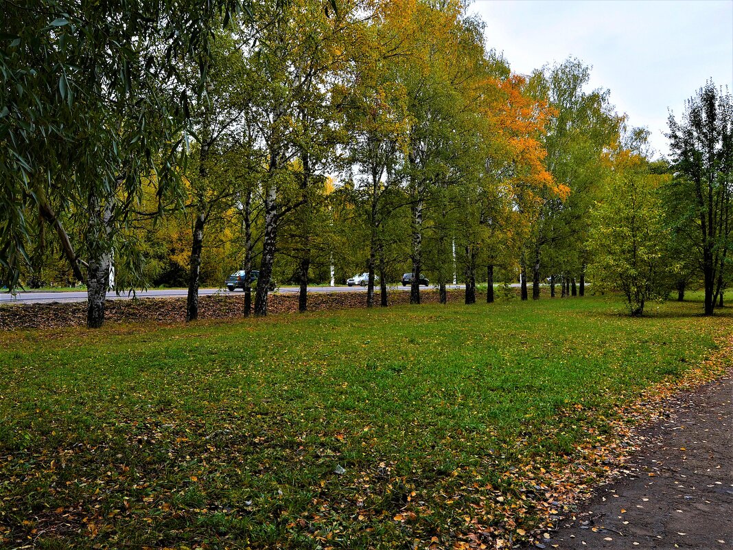 Новочебоксарск. Октябрьская аллея улицы 10-й Пятилетки. - Пётр Чернега