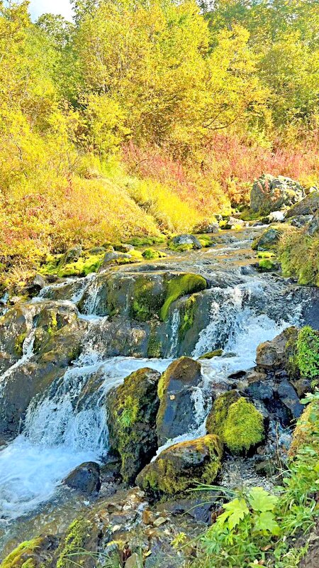 Камчатка - Аркадий Басович