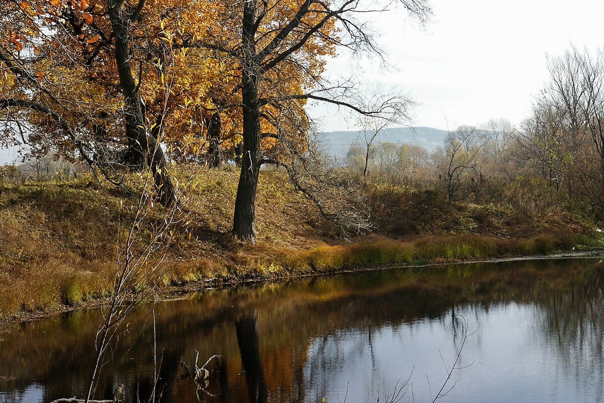 Осень - MILAV V