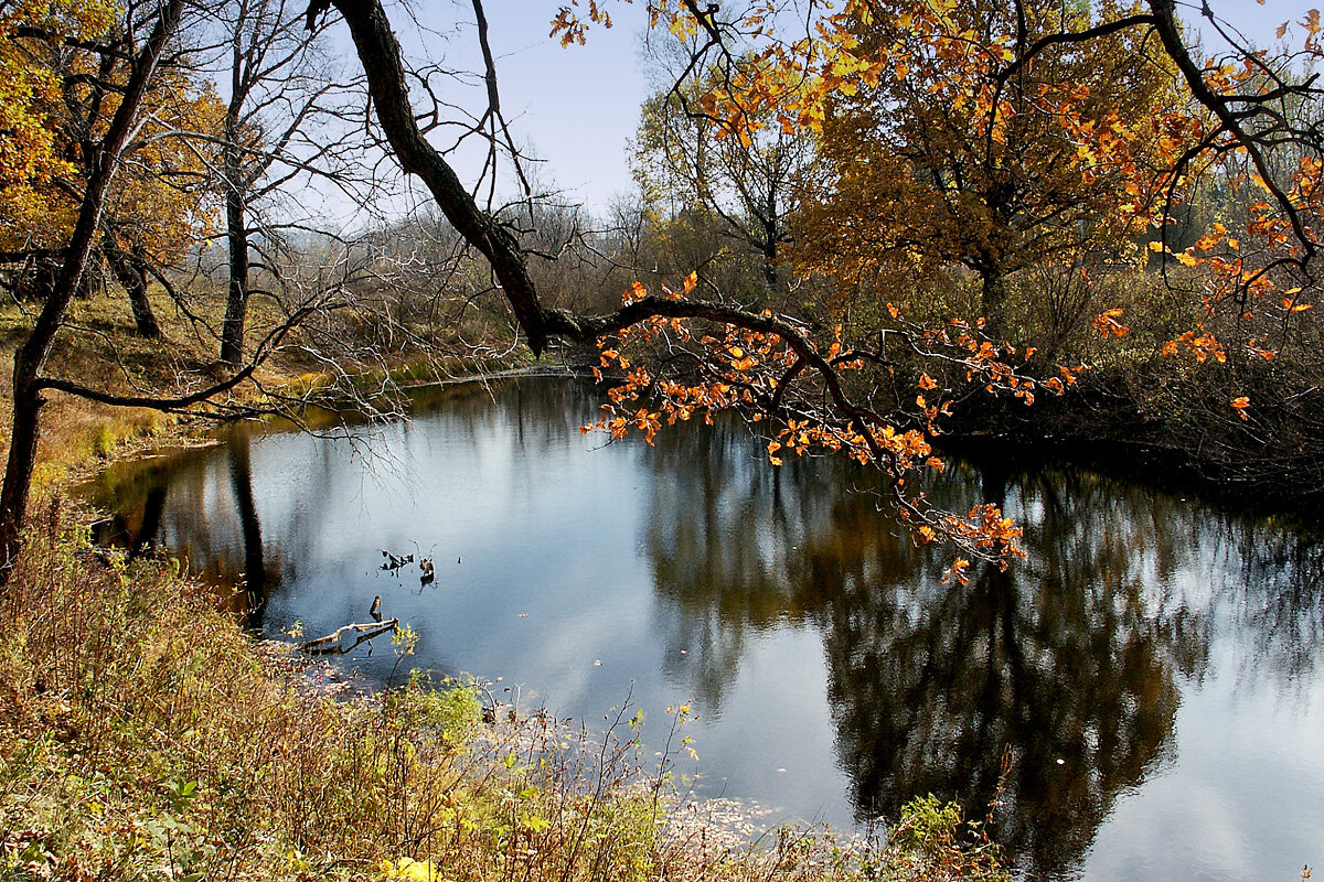 Осень - MILAV V Осень - MILAV V