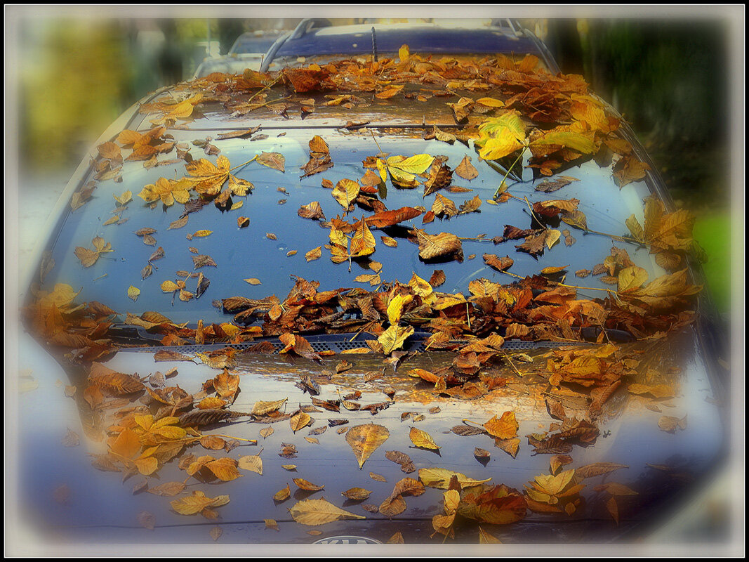 ...но уходят листья с веток безвозвратно.... - Aleksandr Gal