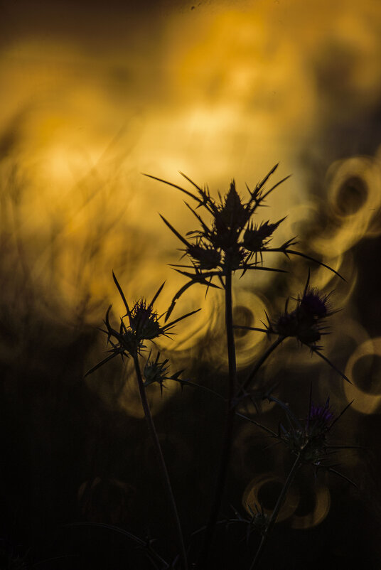 про настроение... - Осень 