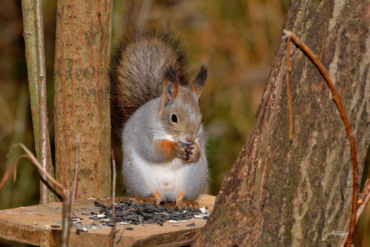 ** - Александр Зуев