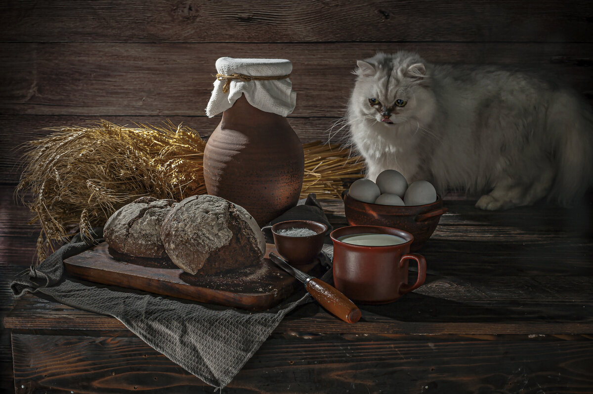 Кот пришёл в натюрморт - Алексей Кошелев