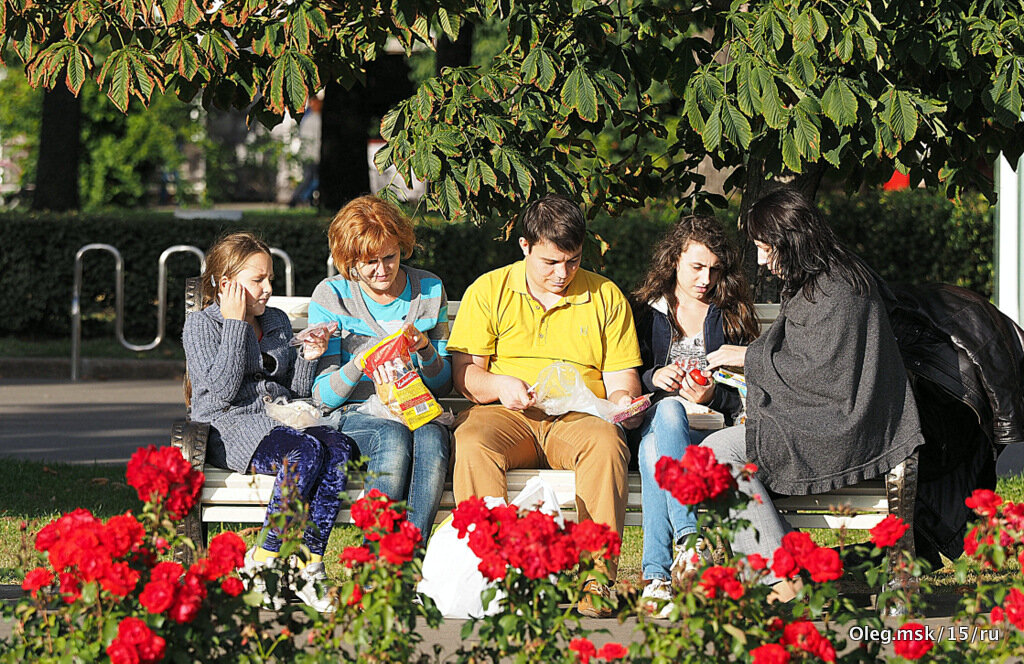 цветник - Олег Лукьянов