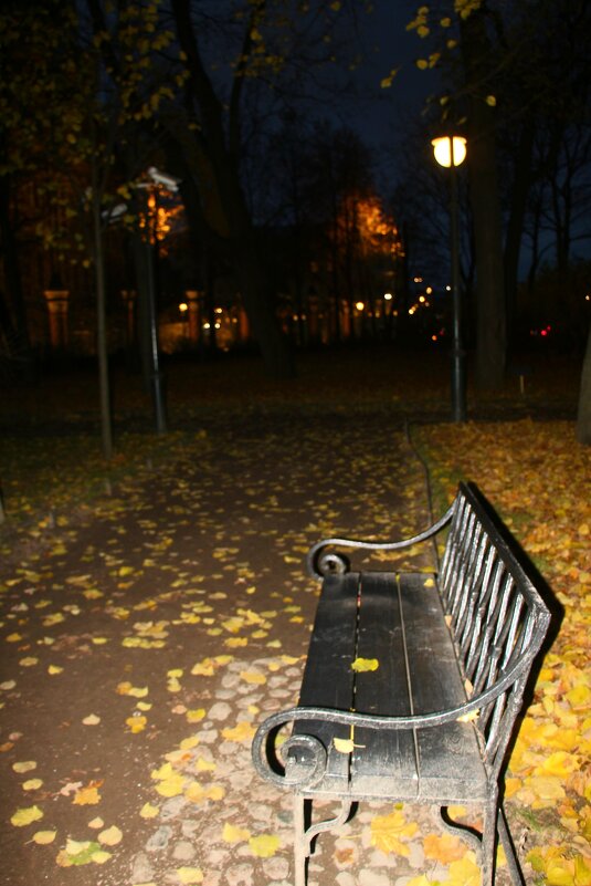 Прощание с октябрём в Михайловском саду - Наталья Герасимова