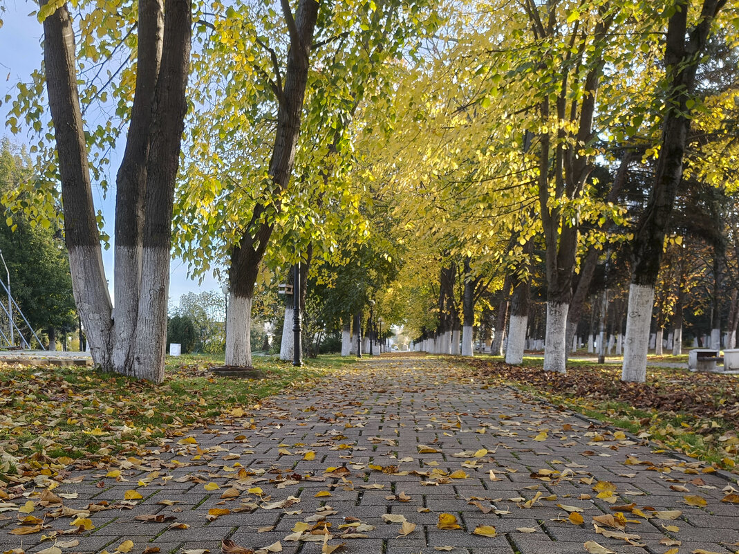 Осень шепчет сны - Валерий Ткаченко