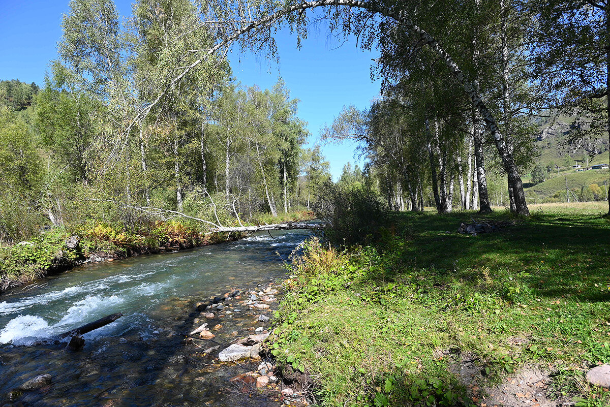 По р.Чемал - Валерий Медведев