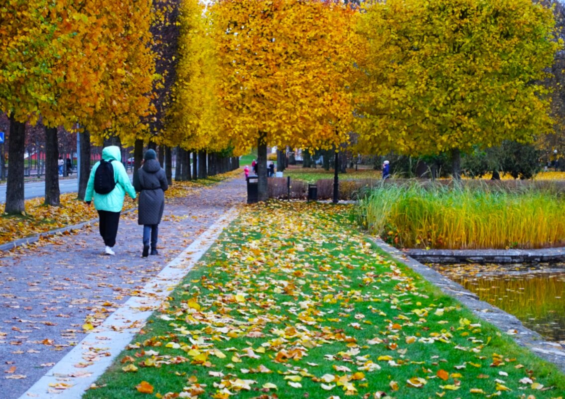 Прогулки в парке - Aida10 