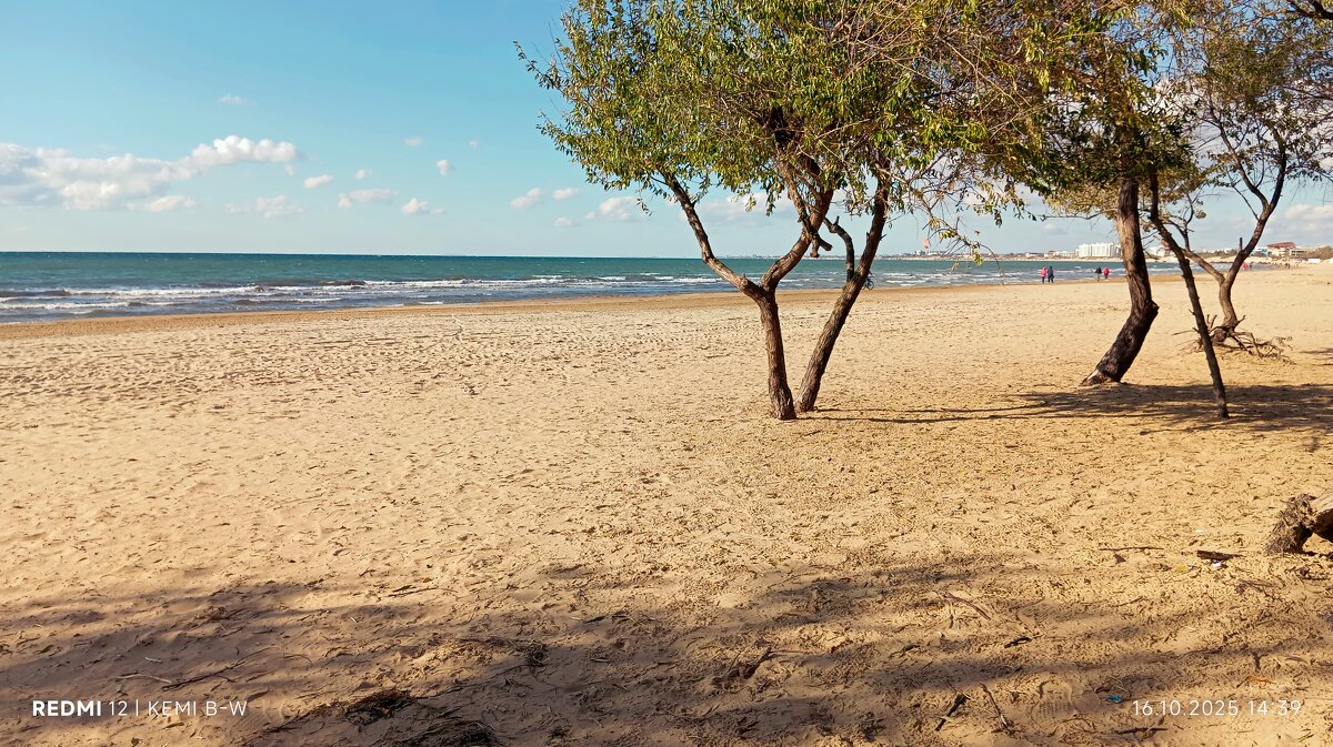 Осеннее лето. - KEMI NOLOV Осеннее лето. - KEMI NOLOV