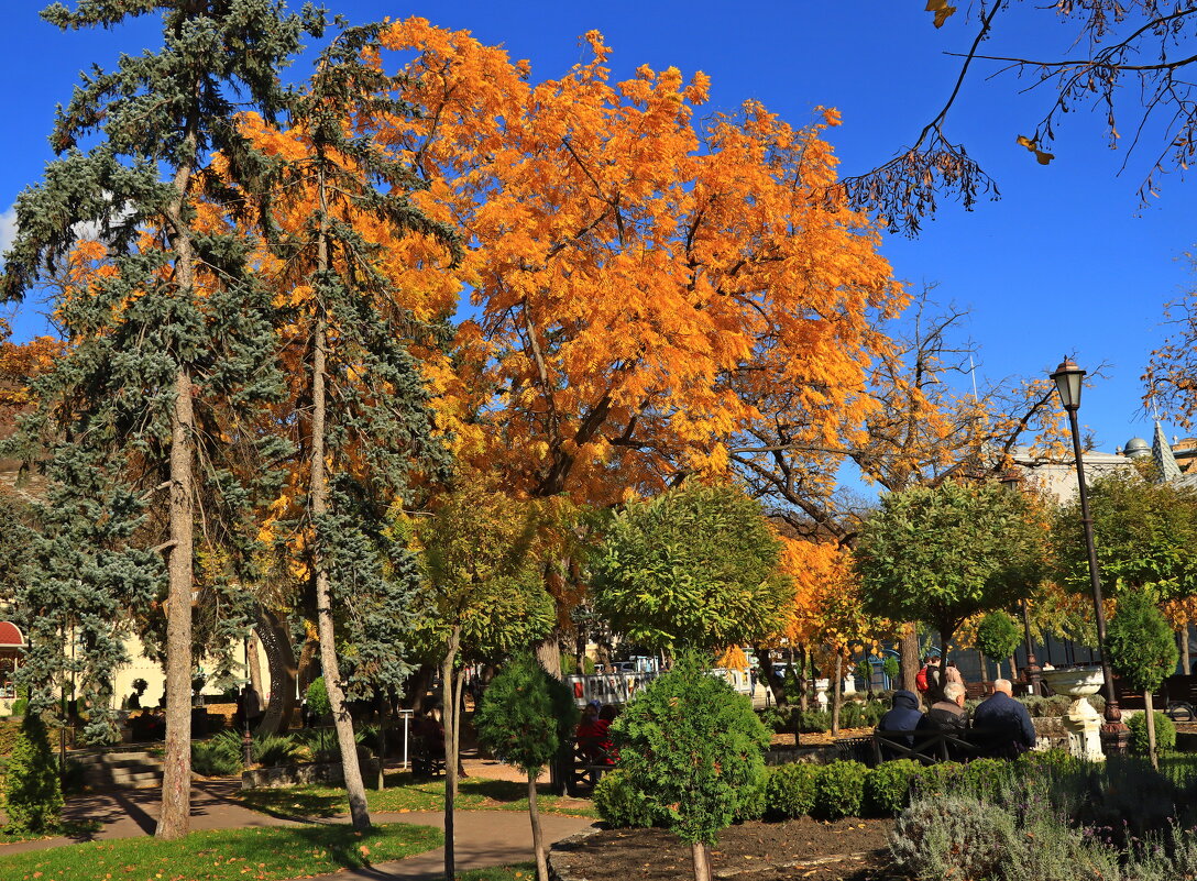 *** - Игорь Kуленко