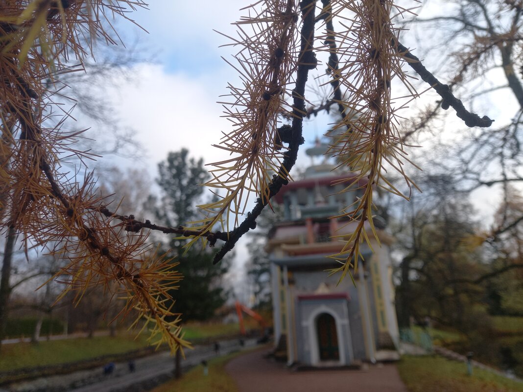 Скрипучая беседка - Сапсан 