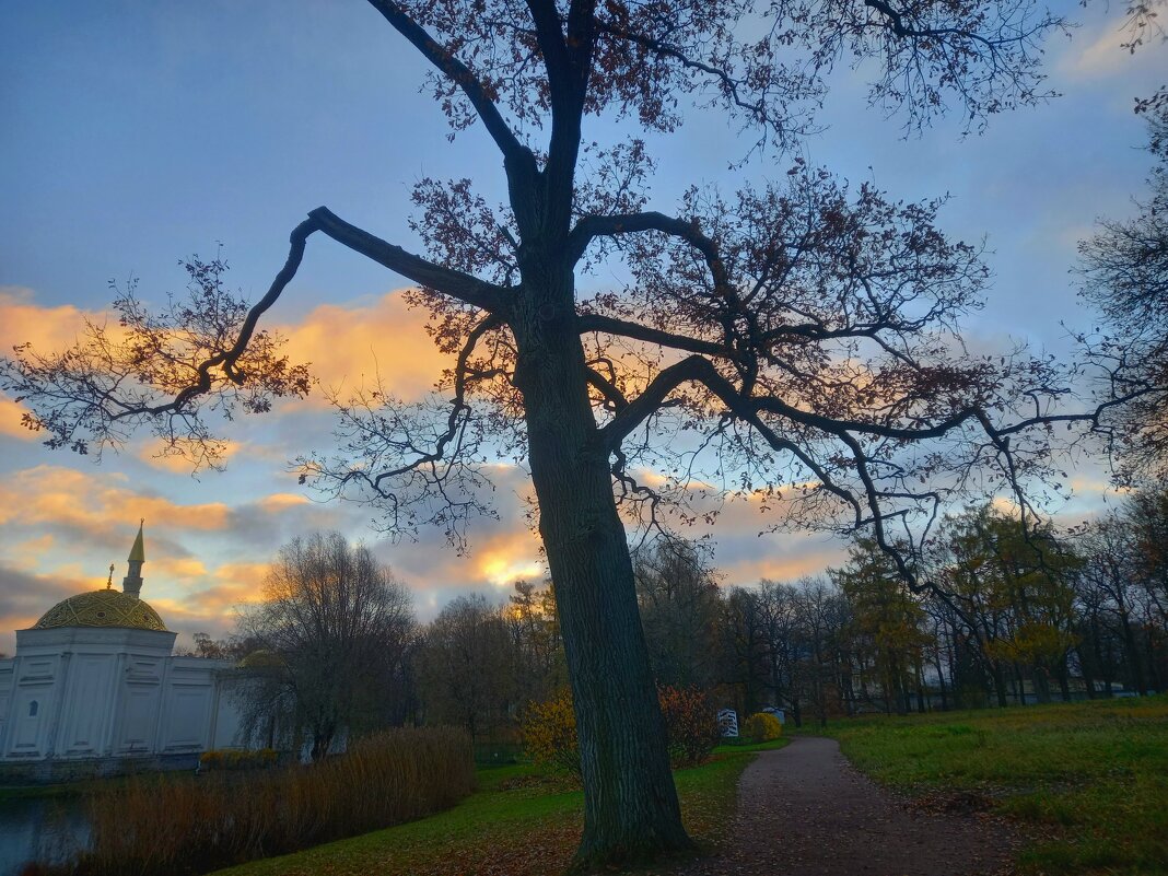 Рассвет - Сапсан 