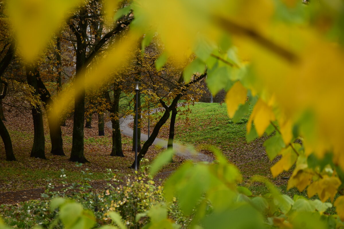 Дорога в парк - Мария Яковлева