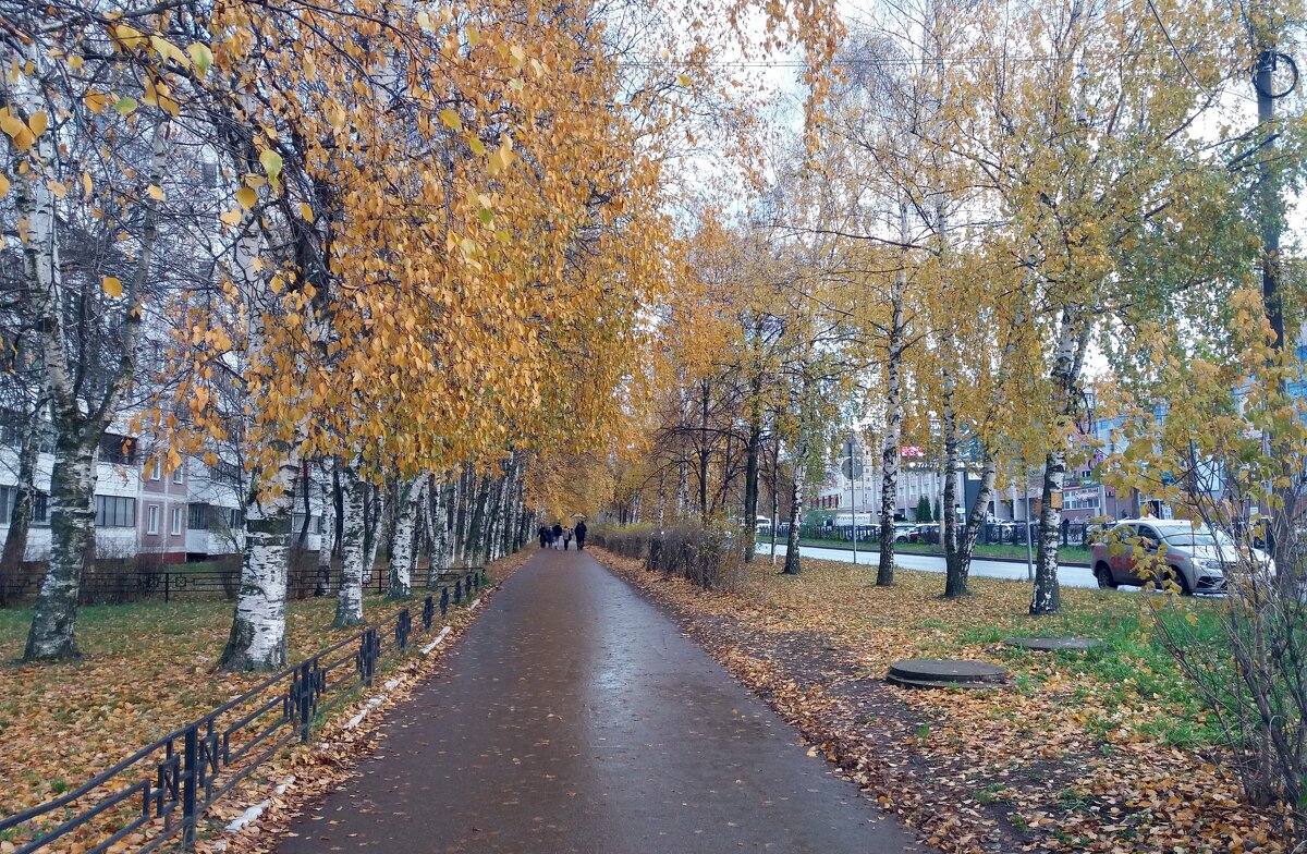 Прогулка по городу - Galina Solovova Прогулка по городу - Galina Solovova