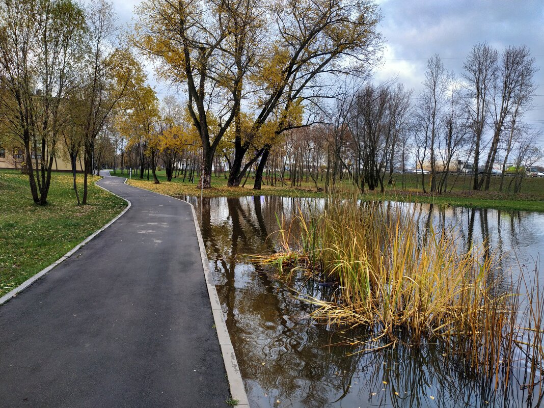 "Ноябрь уж наступил", - мог бы сказать Поэт - Андрей Лукьянов "Ноябрь уж наступил", - мог бы сказать Поэт - Андрей Лукьянов
