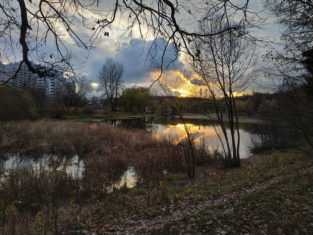 "Ноябрь уж наступил", - мог бы сказать Поэт - Андрей Лукьянов