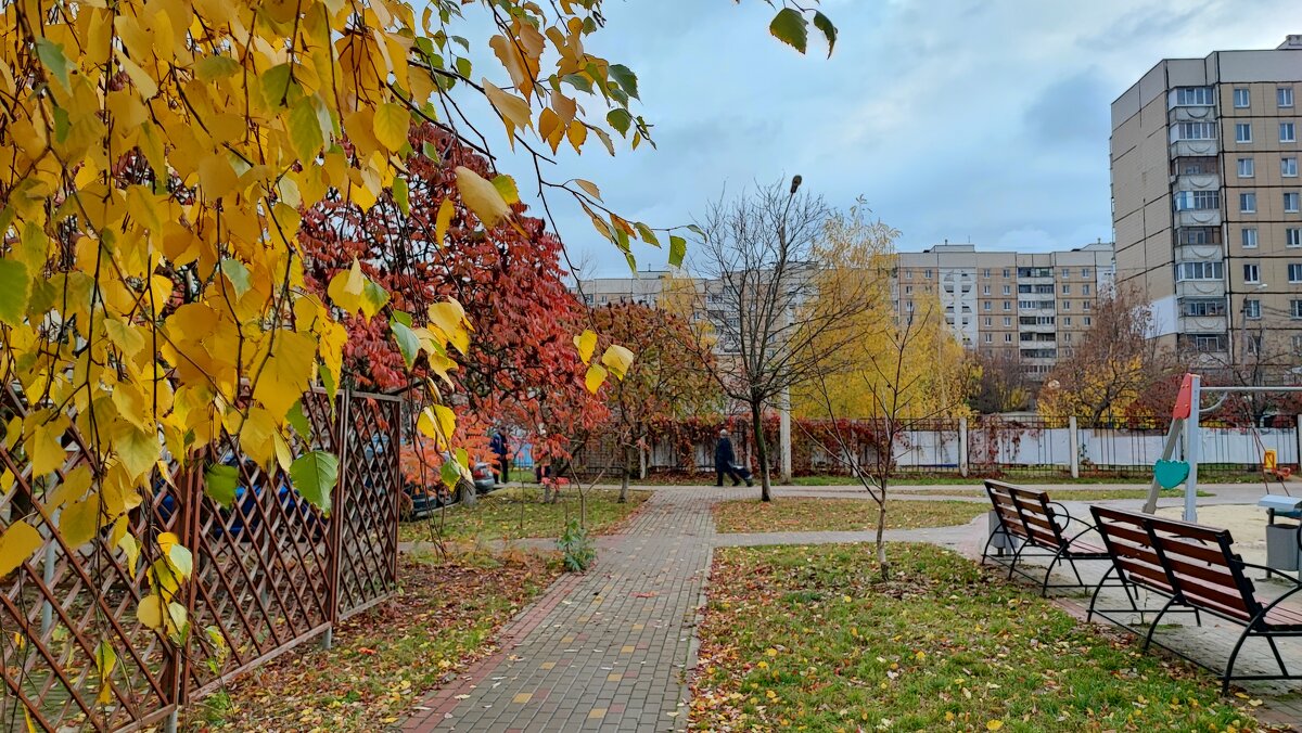 ,,, - Сергей Тимоновский ,,, - Сергей Тимоновский