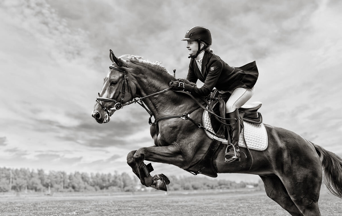 Конкур - SanSan 