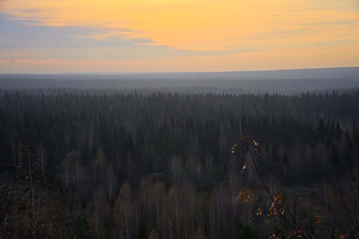 - - Владимир Мигонькин