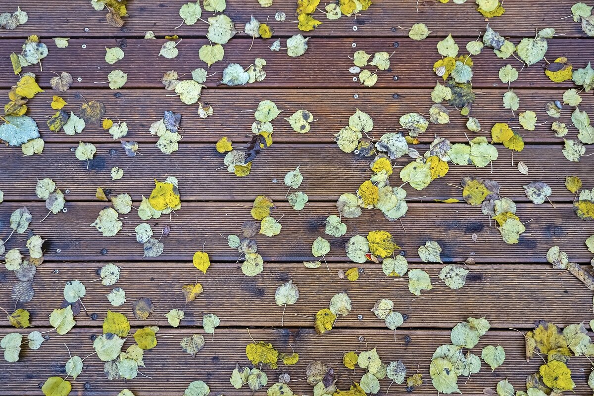 Осенний фон - Валерий Иванович Осенний фон - Валерий Иванович