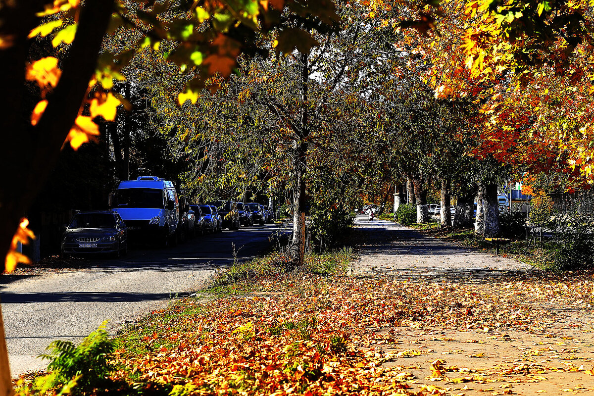 Осенняя аллея - Юрий Гайворонскiий