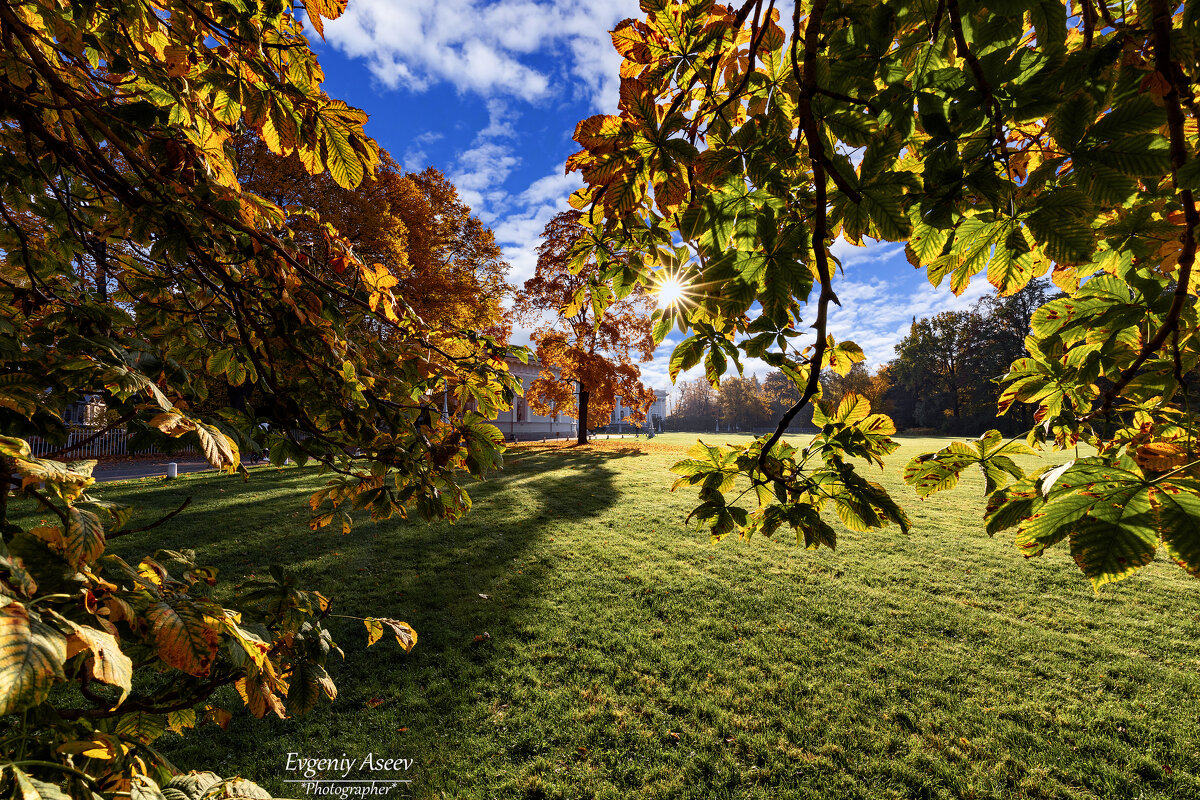 Осеннее солнышко - Евгений 