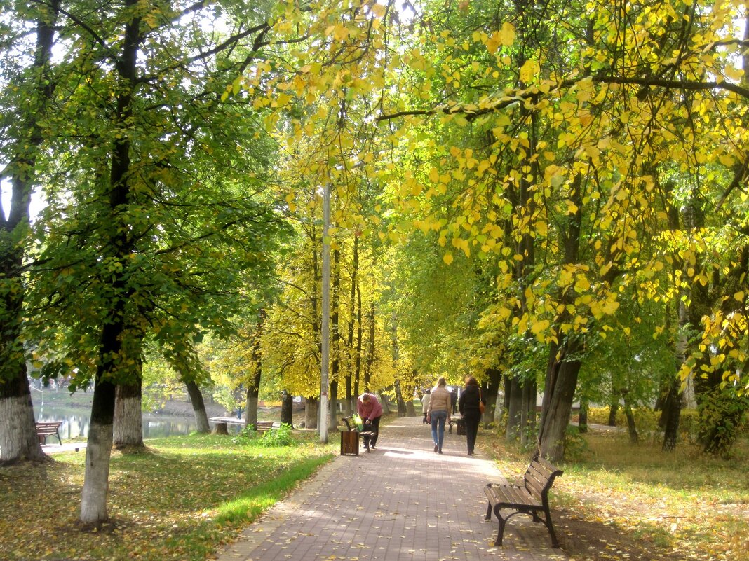 Осенними аллеями - Елена Семигина