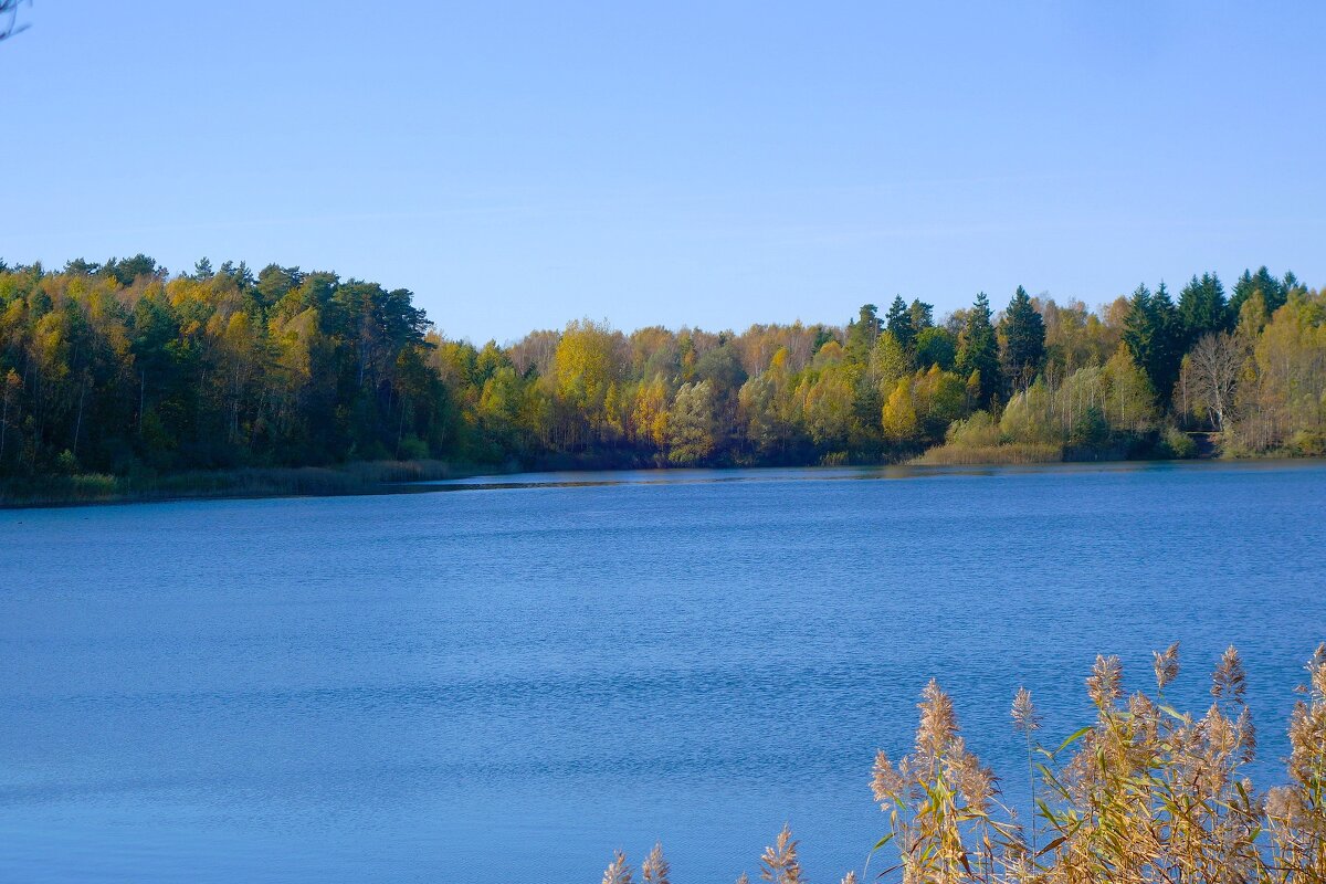 Лесное озеро - Рита Симонова