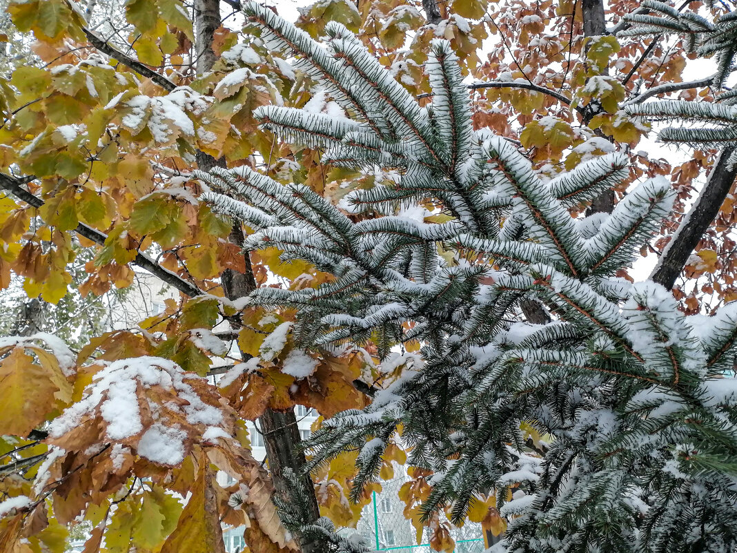 Началось! - Игорь Волков