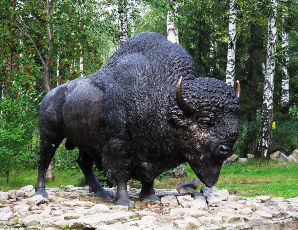 палеопарк - Елена Шаламова палеопарк - Елена Шаламова